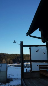 ...und strahlend blauer Morgenhimmel